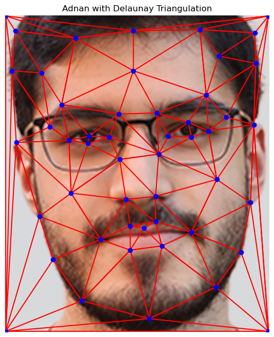 Adnan's face with Delaunay triangulation