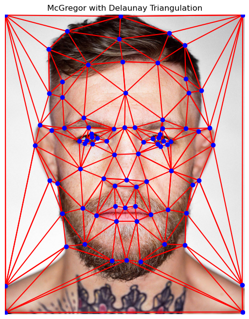 McGregor's face with Delaunay triangulation