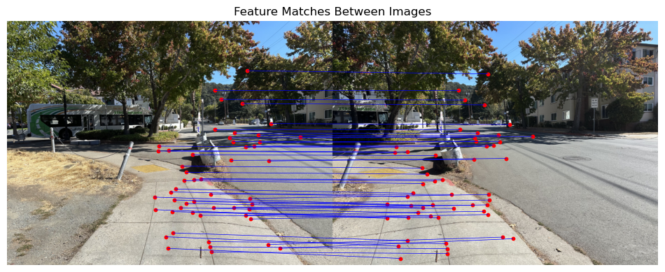 Feature Matches